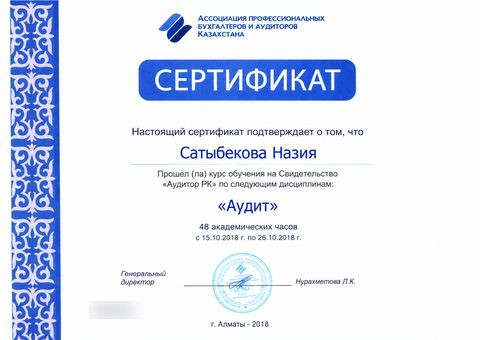 Сертификат «Аудит»